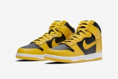 NIKE DUNK - IOWA 2020