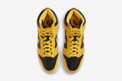 NIKE DUNK - IOWA 2020