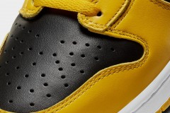 NIKE DUNK - IOWA 2020