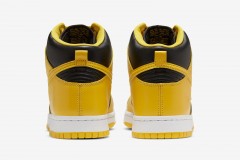 NIKE DUNK - IOWA 2020